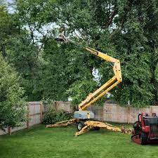 Best Lawn Watering Services  in Florida, NY