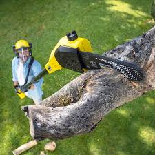 Best Pest Control for Lawns  in Florida, NY