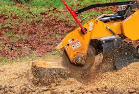 Best Lawn Grading and Leveling  in Florida, NY