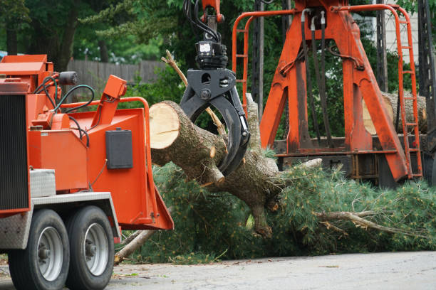 Best Weed Control  in Florida, NY